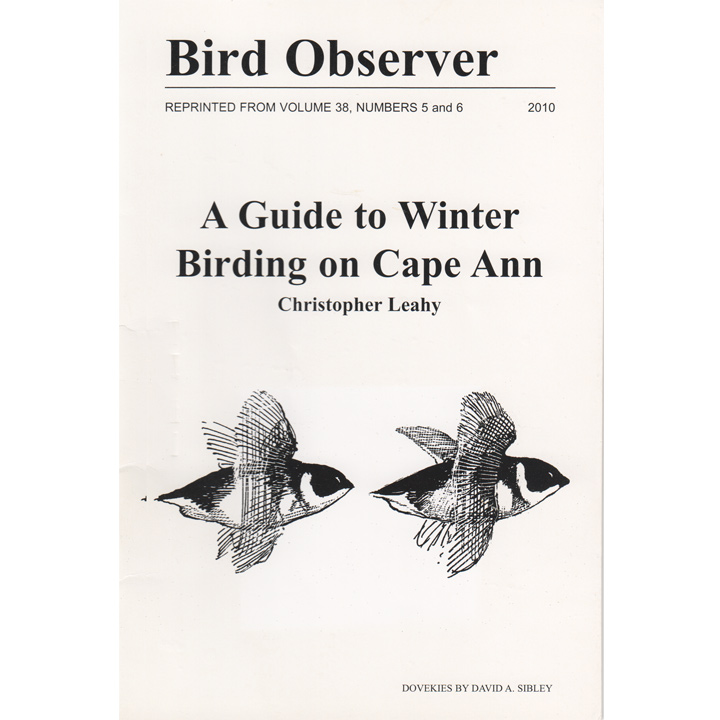 A Guide to  Winter Birding on Cape Ann
